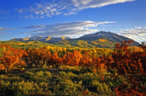Aspen
