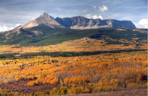 GlacierPark