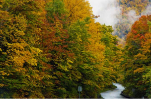 GreenMountainByway