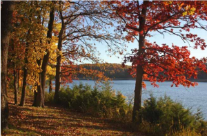 LakeOfOzarks