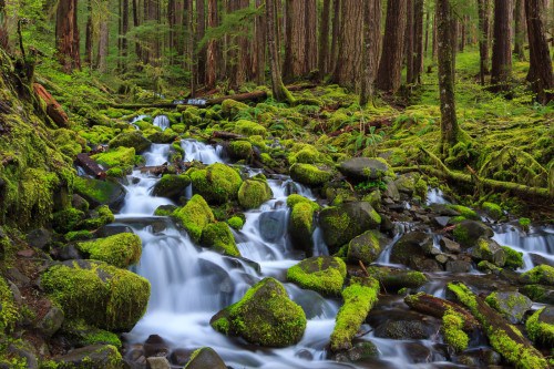Olympic Peninsula Loop