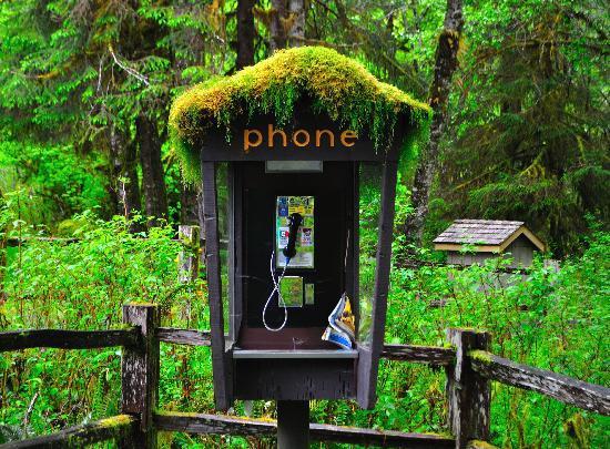 Olympic Peninsula Loop