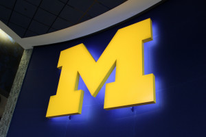 michigan institue